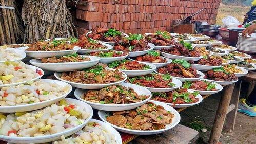 农村宴席爆料视频大全,视频大全背后的美食与文化盛宴 第1张 农村宴席爆料视频大全,视频大全背后的美食与文化盛宴 第1张